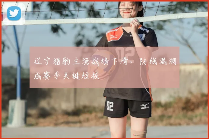 辽宁猎豹主场战绩下滑，防线漏洞成赛季关键短板
