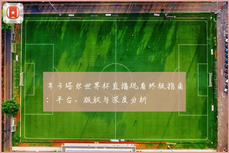 年卡塔尔世界杯直播观看终极指南：平台、版权与深度分析