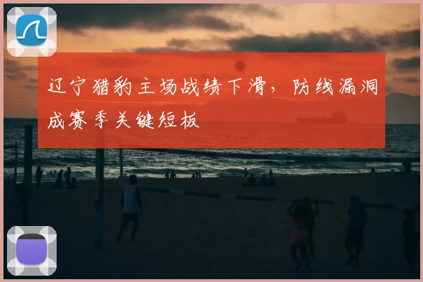 辽宁猎豹主场战绩下滑，防线漏洞成赛季关键短板