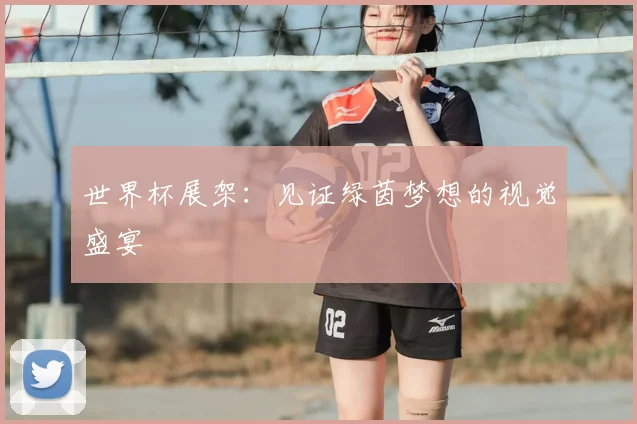 世界杯展架：见证绿茵梦想的视觉盛宴