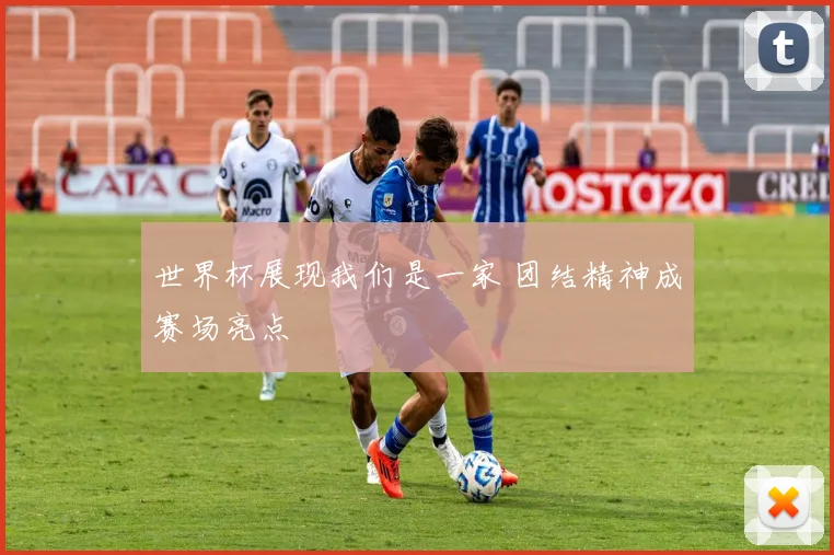 世界杯展现我们是一家 团结精神成赛场亮点