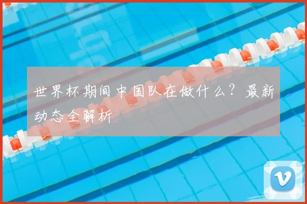 世界杯期间中国队在做什么？最新动态全解析