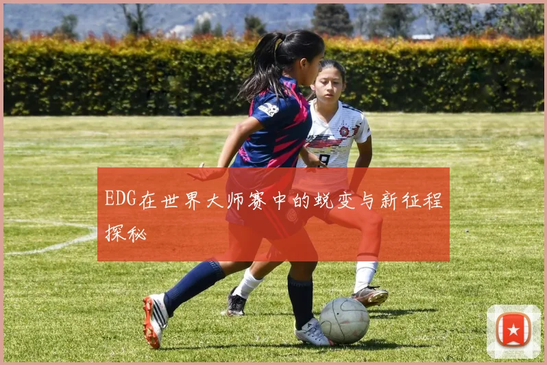 EDG在世界大师赛中的蜕变与新征程探秘