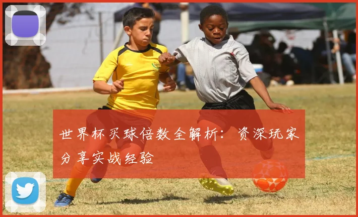 世界杯买球倍数全解析：资深玩家分享实战经验
