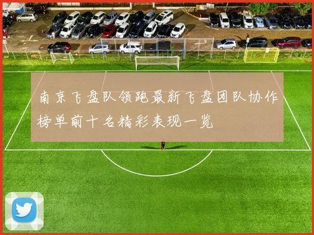南京飞盘队领跑最新飞盘团队协作榜单前十名精彩表现一览