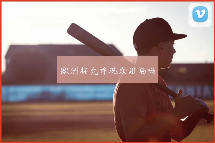 欧洲杯允许观众进场吗