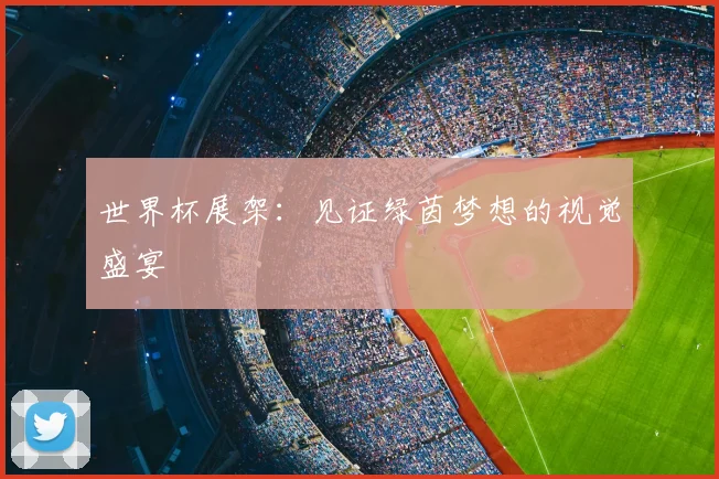 世界杯展架:见证绿茵梦想的视觉盛宴