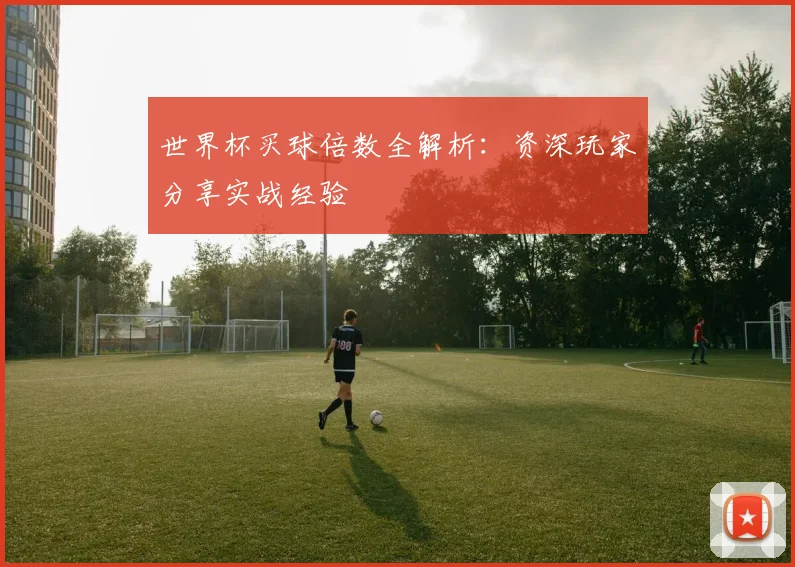 世界杯买球倍数全解析：资深玩家分享实战经验
