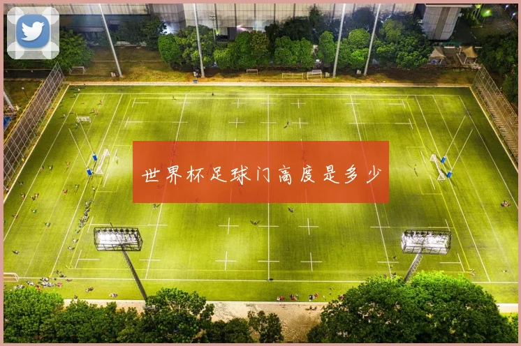 世界杯足球门高度是多少
